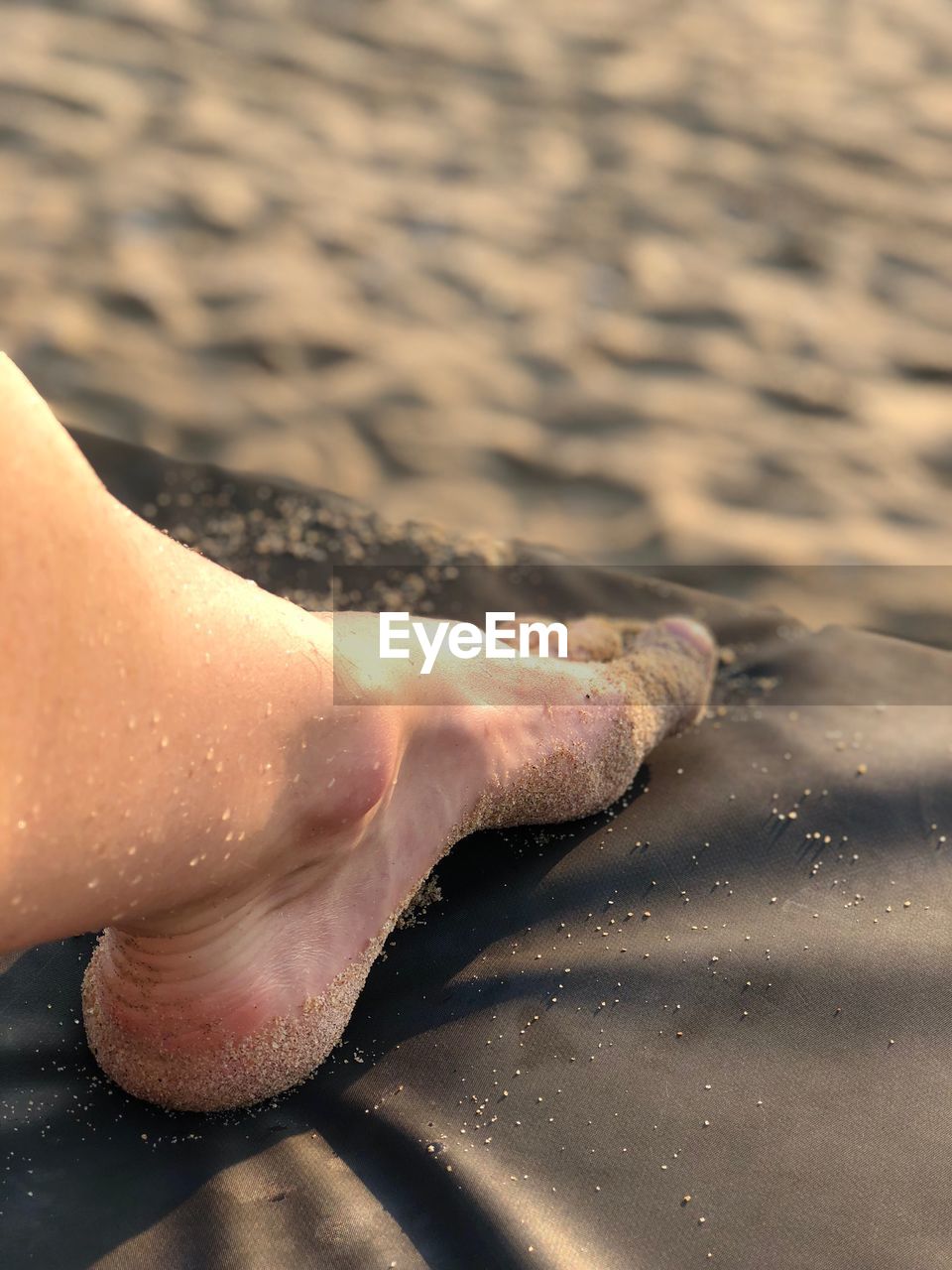 Low section of person on wet sand