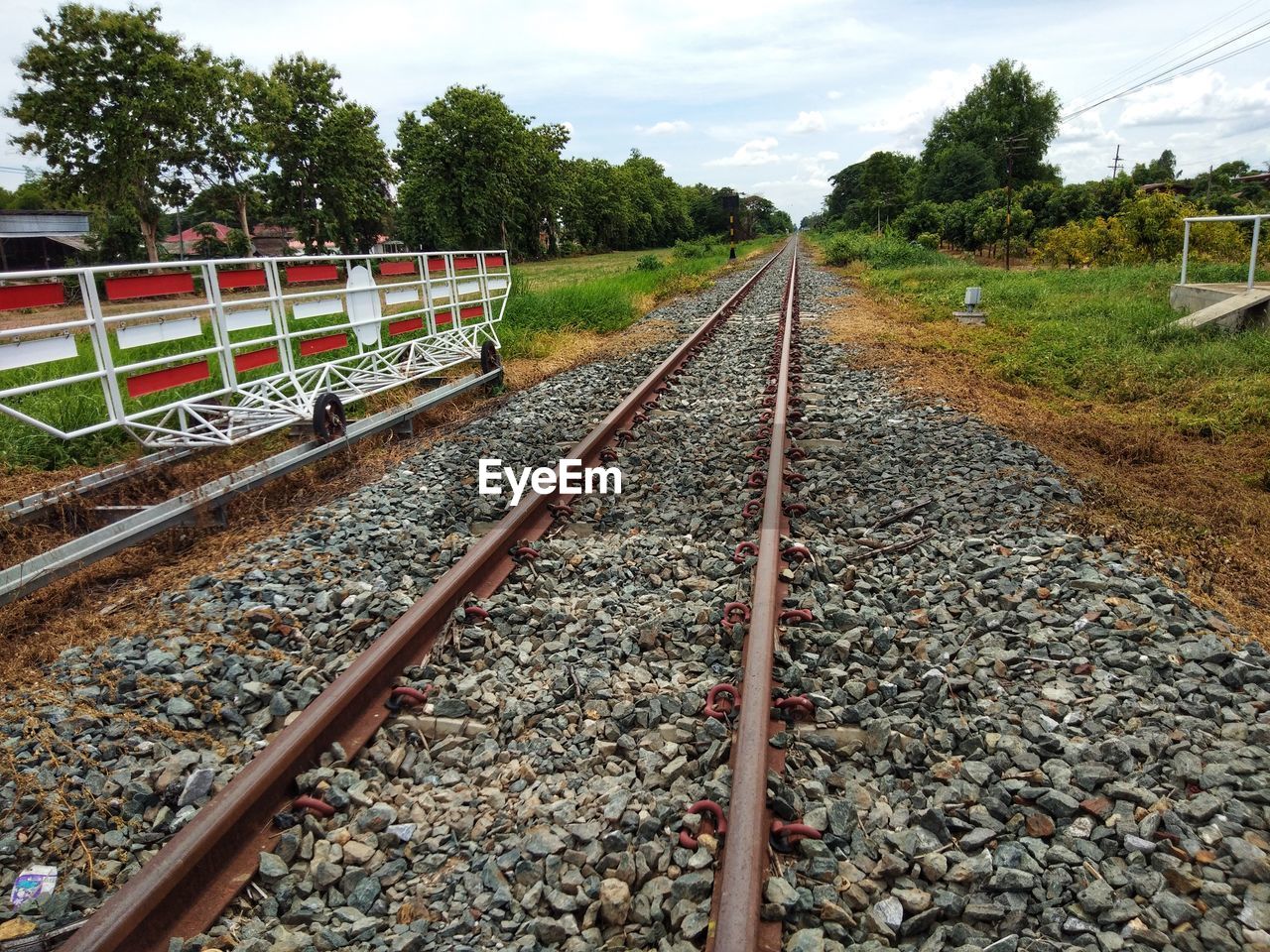 Railroad tracks amidst trees against sky