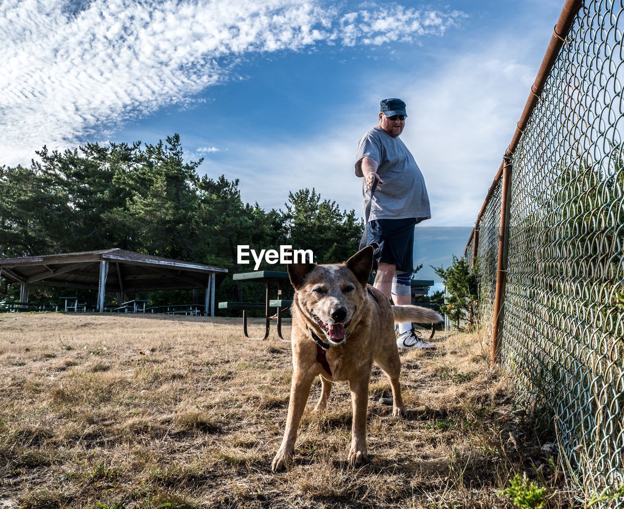 Mid adult man with dog standing on grassy field at park