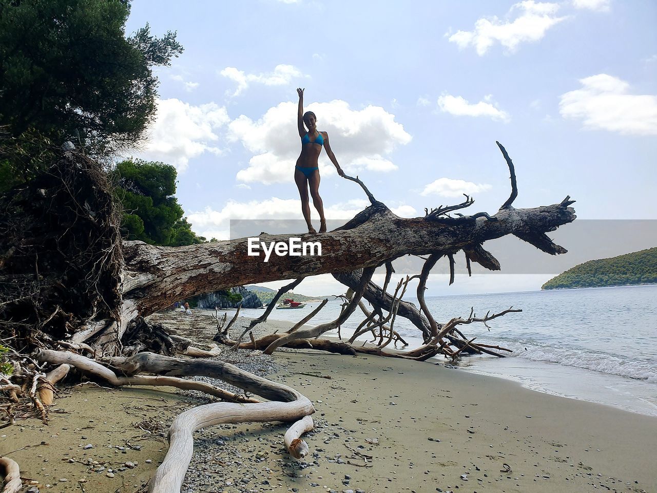 LOW ANGLE VIEW OF DRIFTWOOD ON BEACH