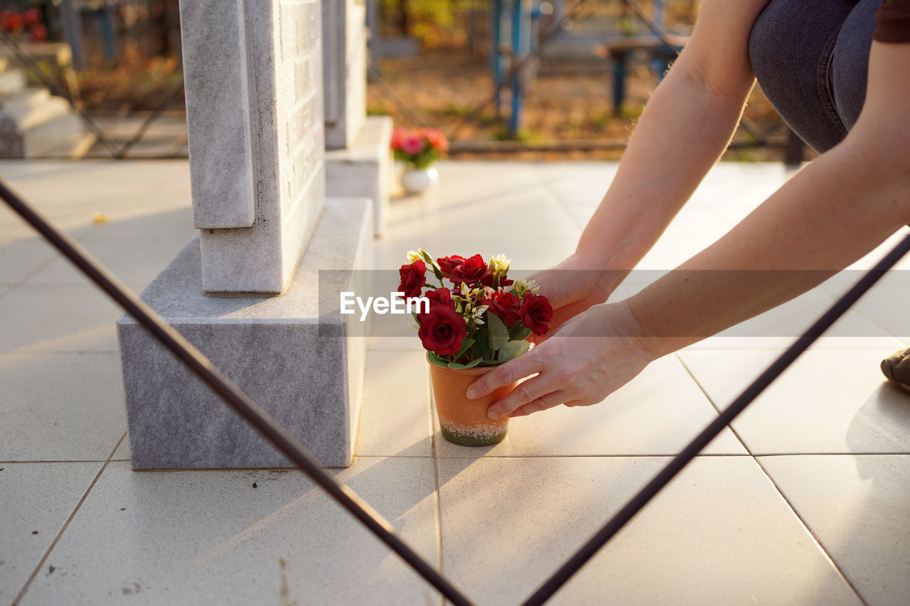 MIDSECTION OF WOMAN HOLDING RED FLOWERING PLANT ON FLOOR