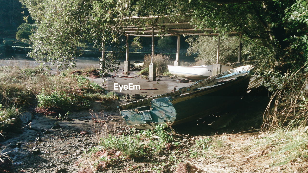 Abandoned boat against trees