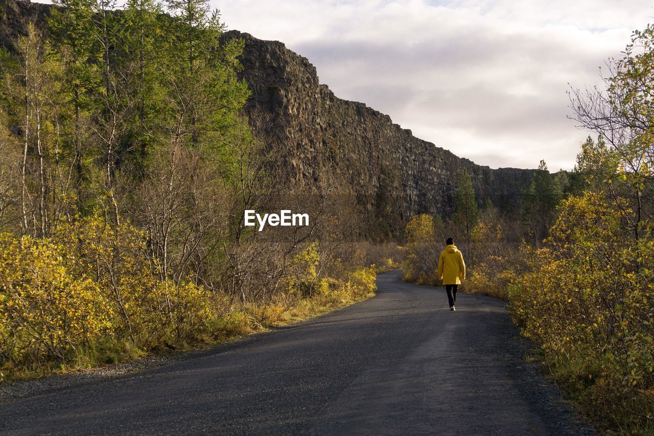 Rear view of man walking on road along trees