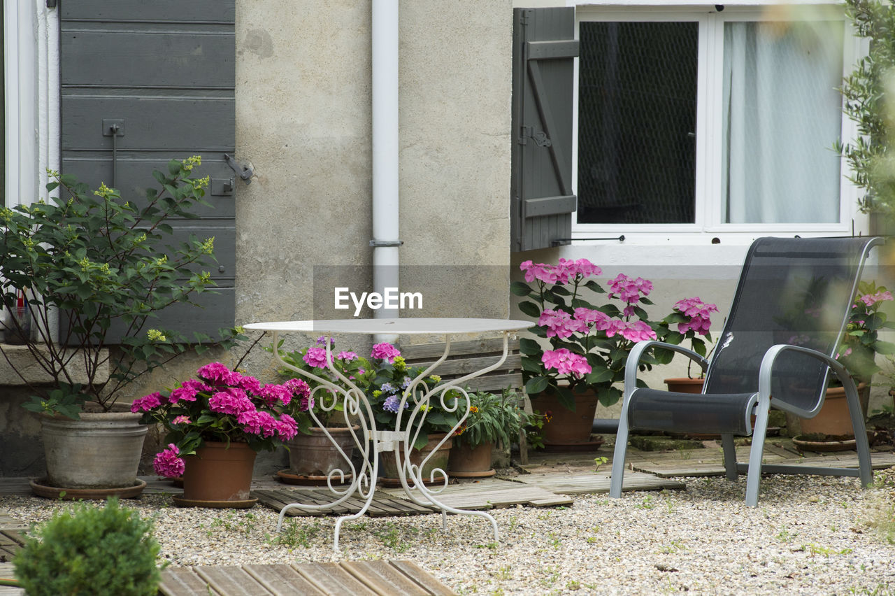 Potted plants outside house