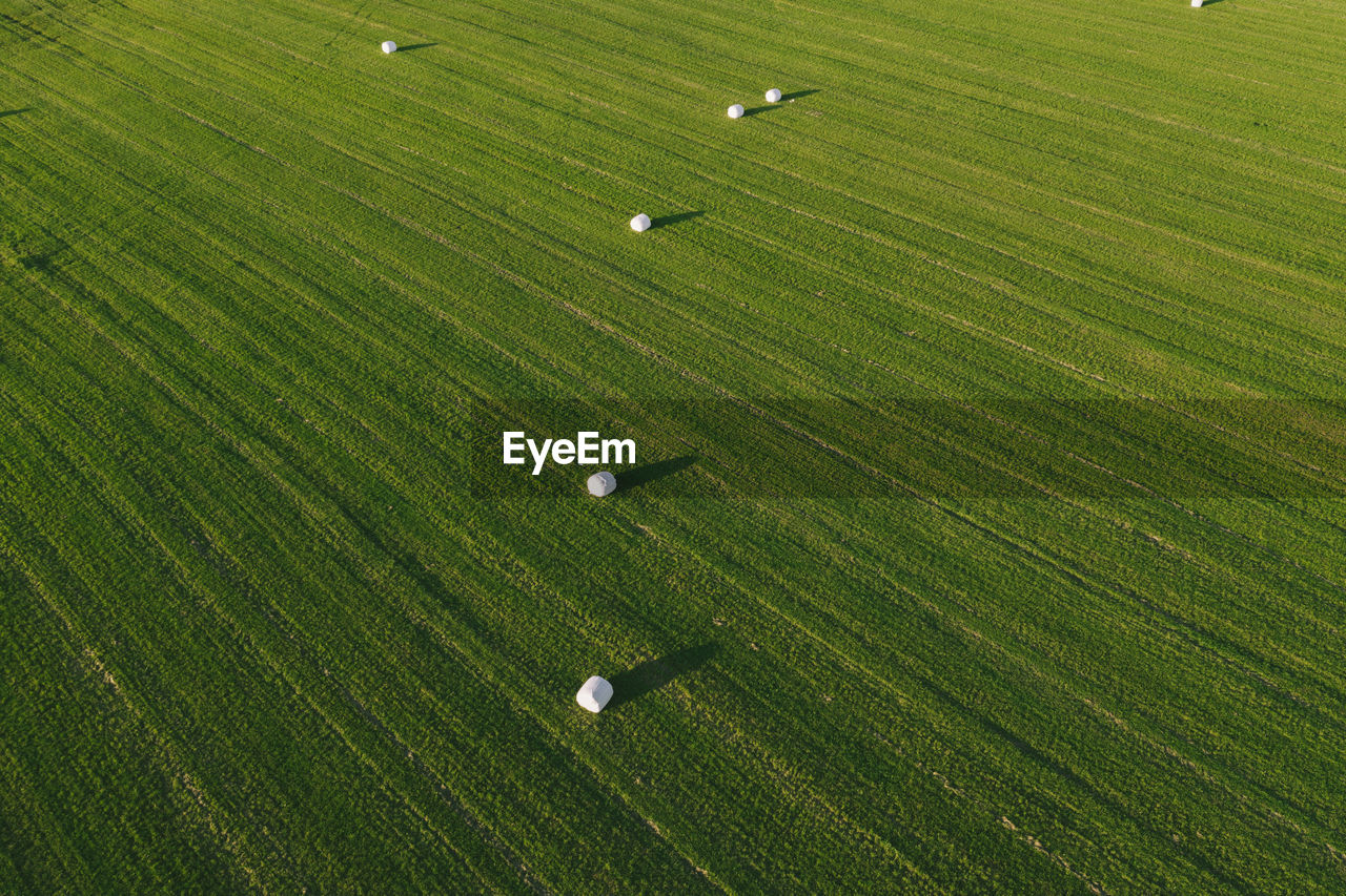 Top view of green cleared field with haystacks. large green field with round haystacks. 