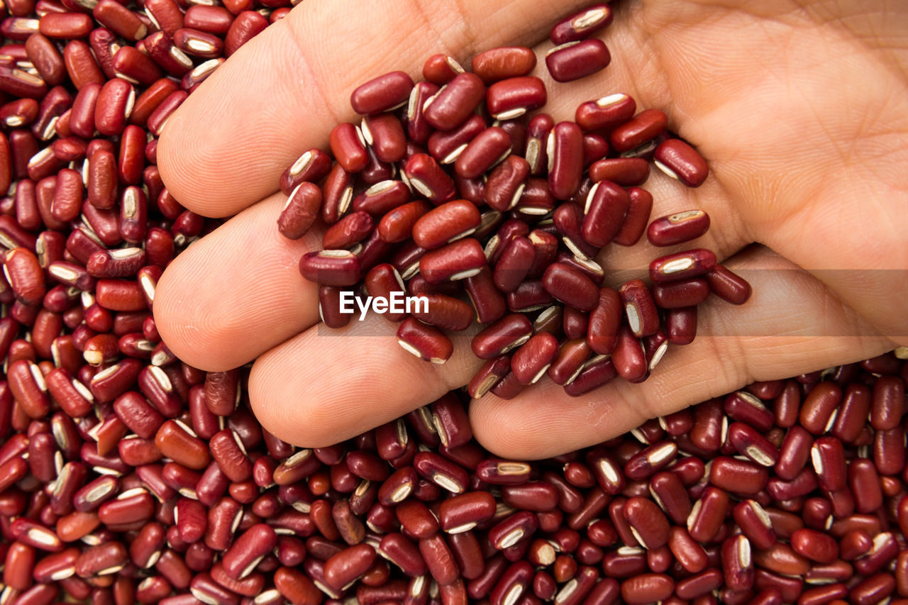 CLOSE-UP OF HUMAN HAND HOLDING BEANS