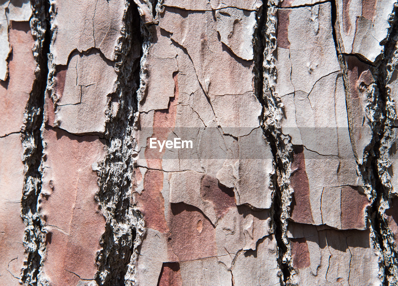 FULL FRAME SHOT OF DAMAGED WALL