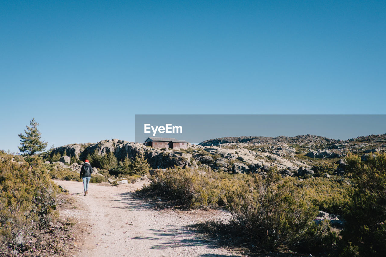 Rear view of young woman walking on dirt road against clear blue sky