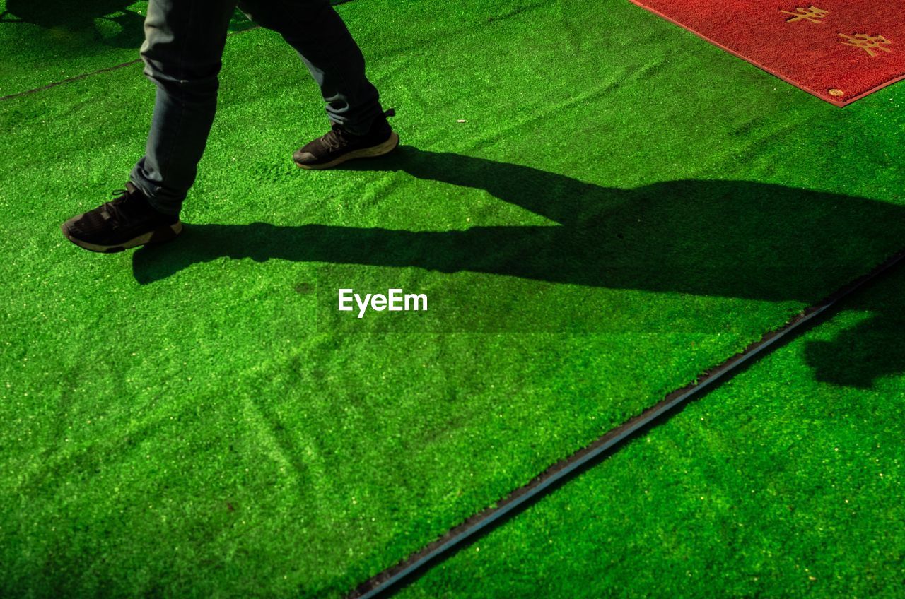 Low section of man walking on carpet