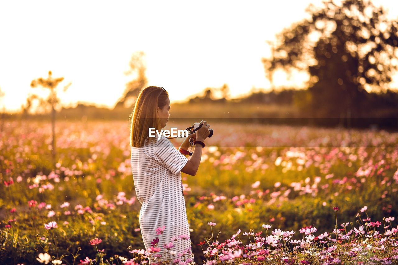 Side view of woman photographing on field during sunset