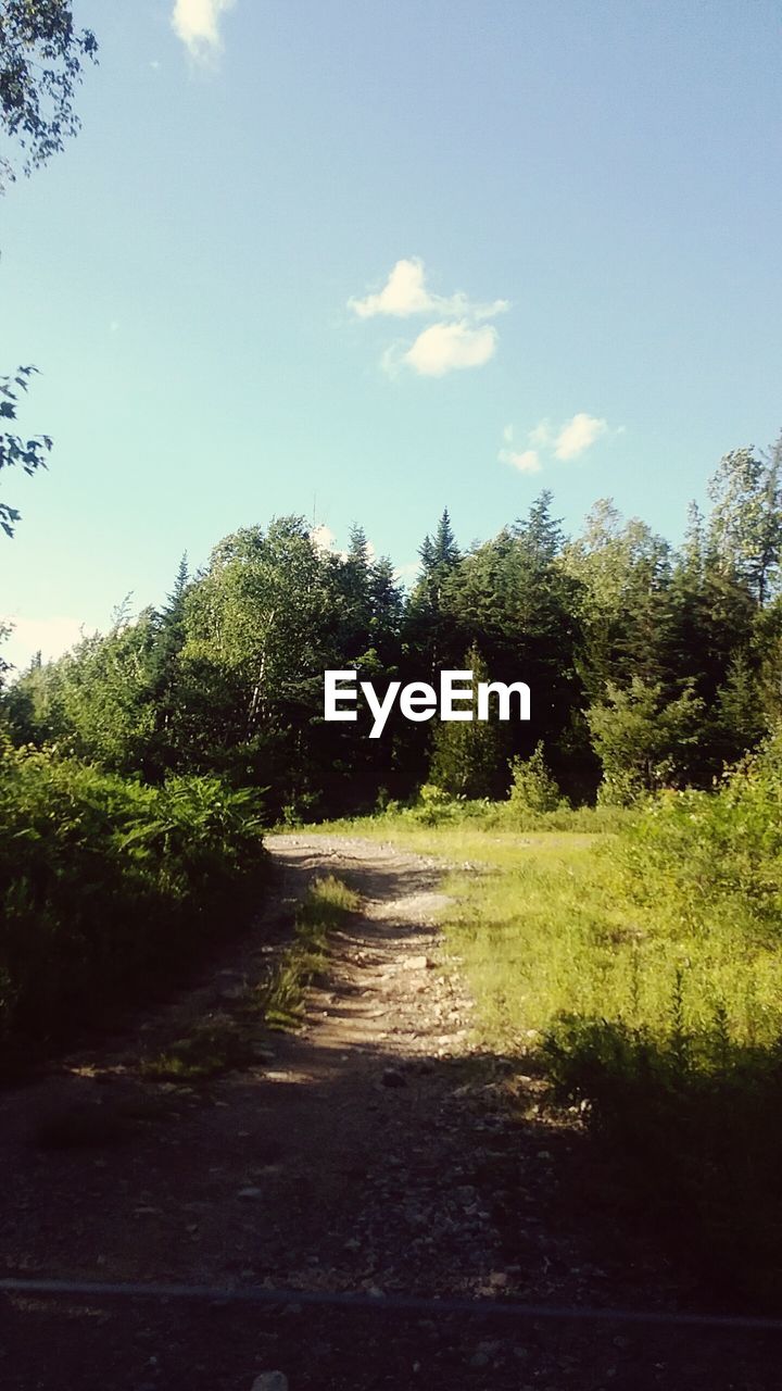 VIEW OF TREES ON LANDSCAPE AGAINST SKY