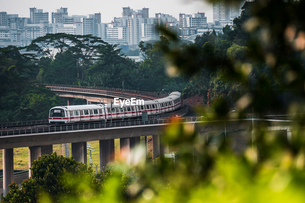 Train on bridge in city