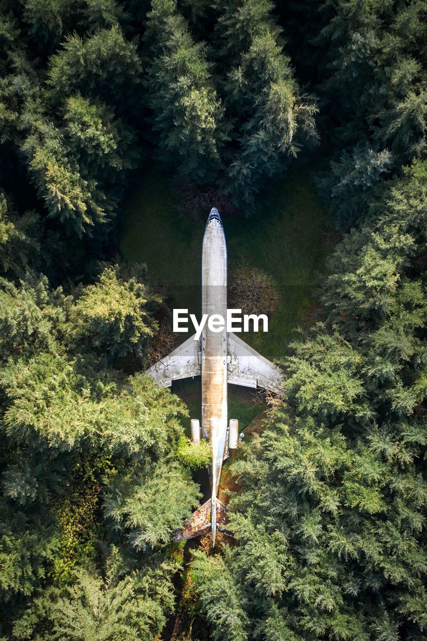 Aerial view of abandoned airplane in forest