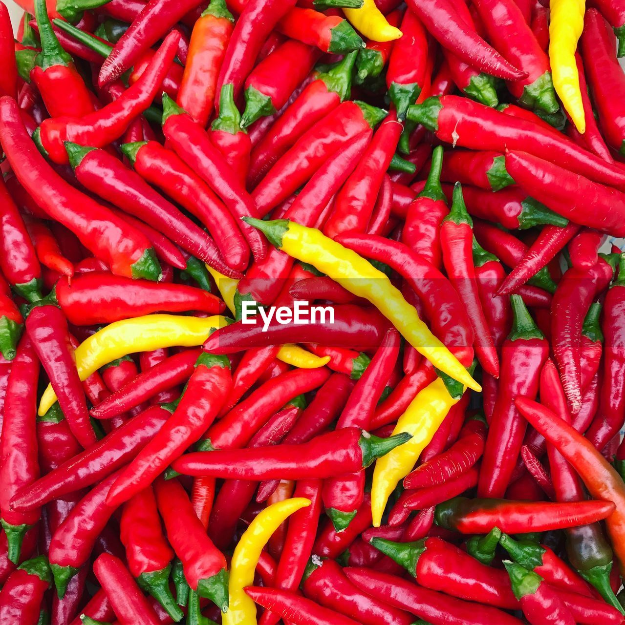 Full frame shot of chili peppers