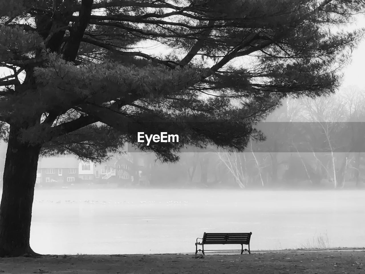 Bench in park by lake during winter