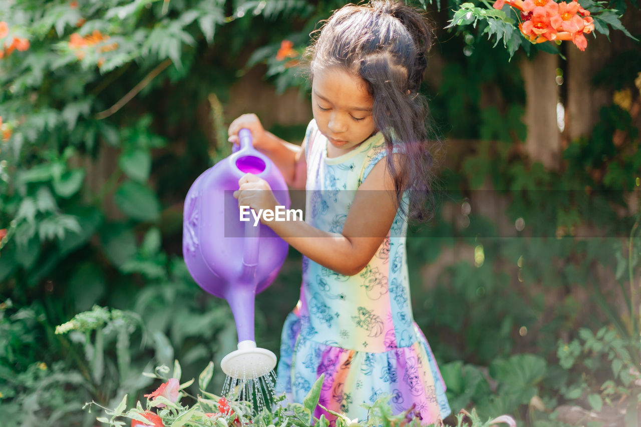 Diverse mixed race pre school girl outdoors during summer watering plants in garden