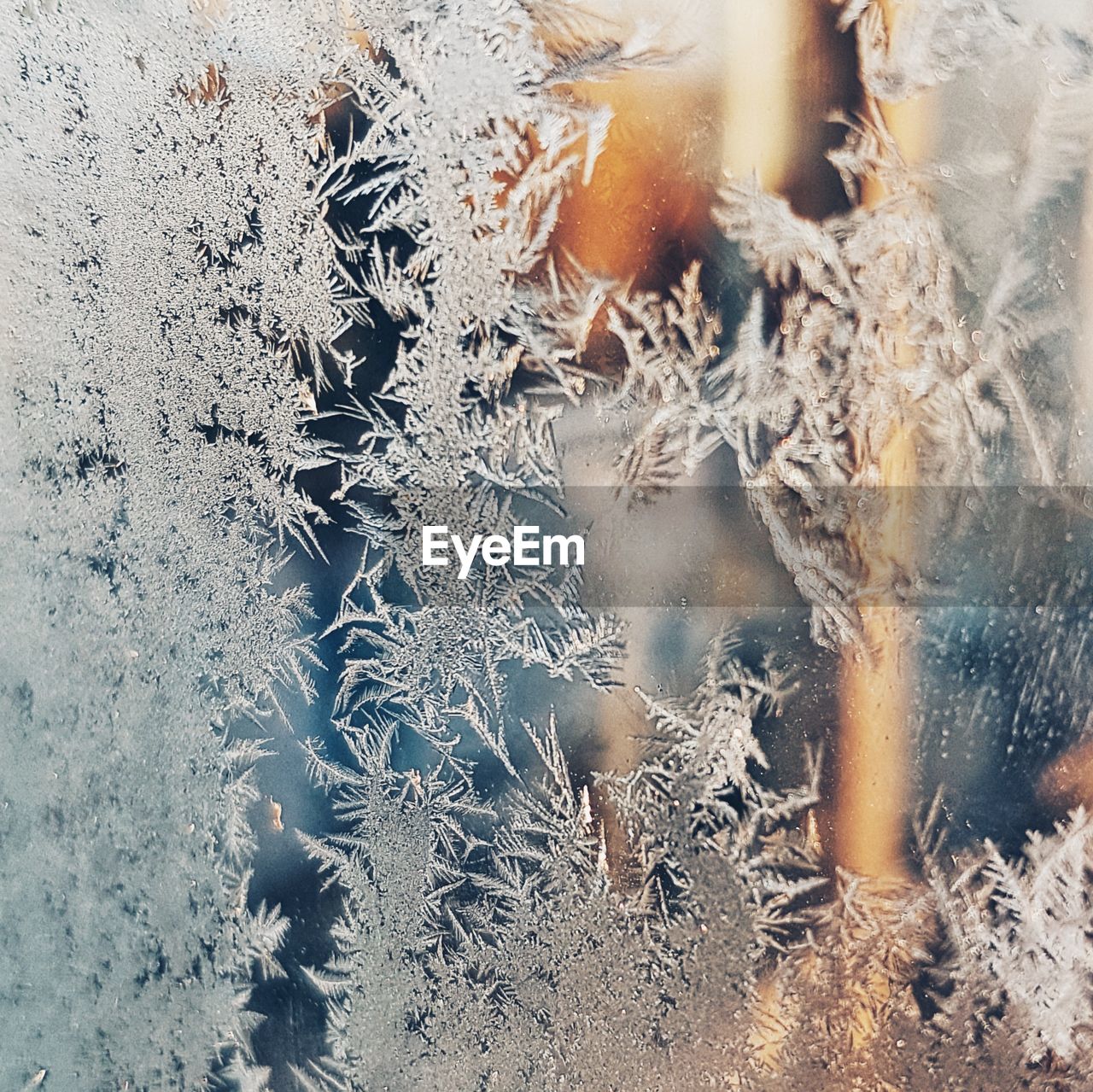Close-up of snowflakes on window