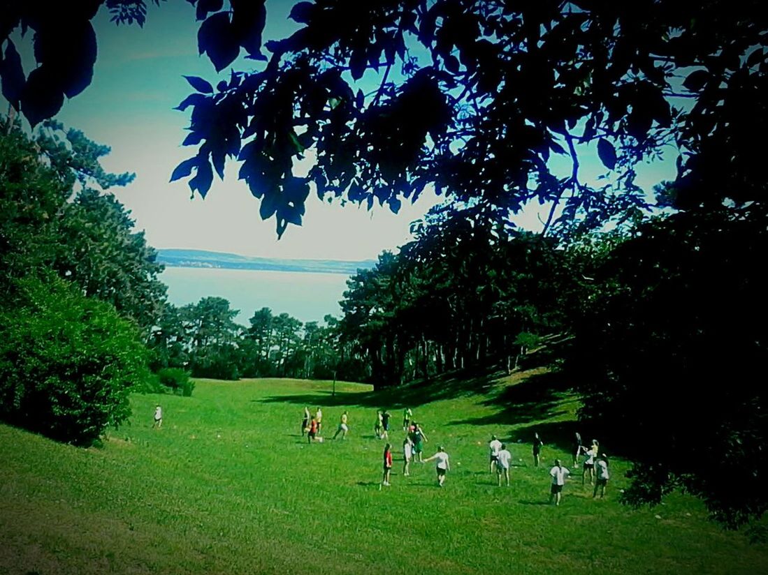 PEOPLE RELAXING ON FIELD AGAINST TREES