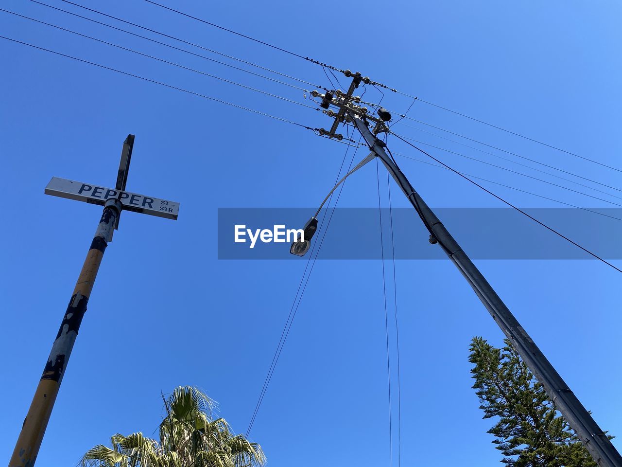 cable, overhead power line, sky, electricity, low angle view, technology, nature, blue, power line, mast, electricity pylon, clear sky, street light, power generation, wind, no people, telephone pole, communication, power supply, line, day, tree, electrical supply, telephone line, outdoors, tower, transmission tower, public utility, plant, sign