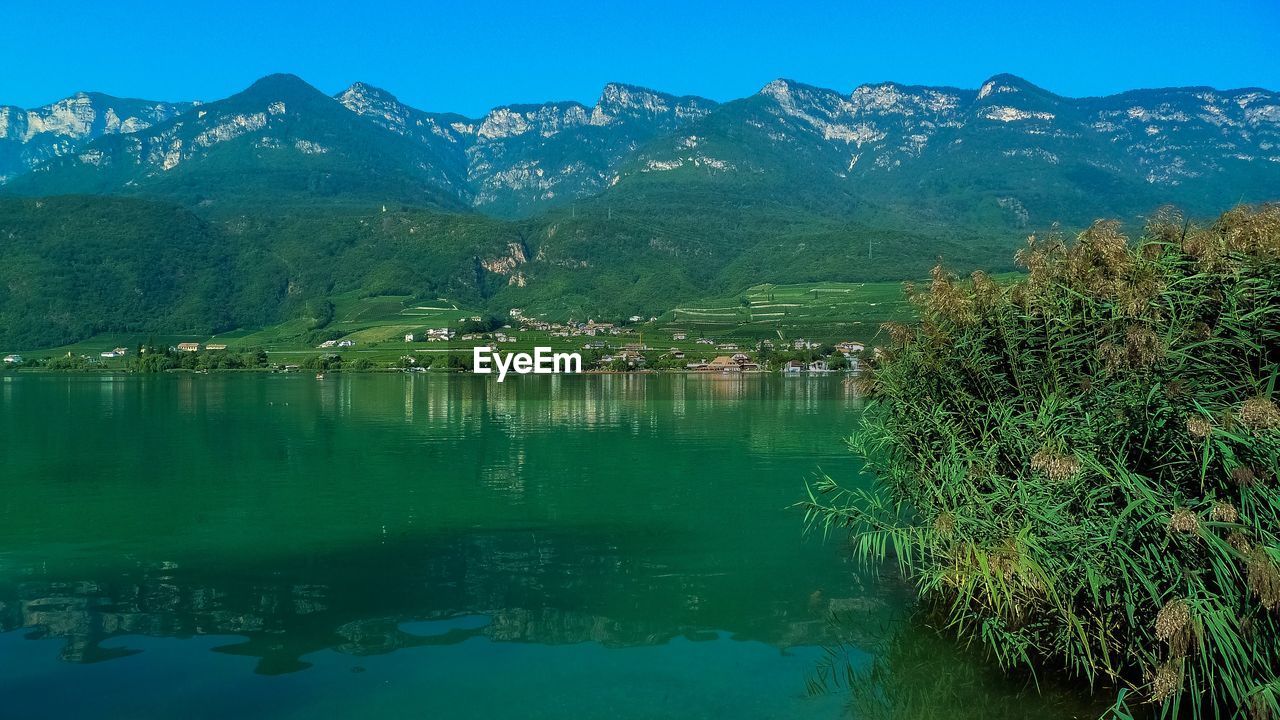 SCENIC VIEW OF LAKE BY TREES AGAINST SKY