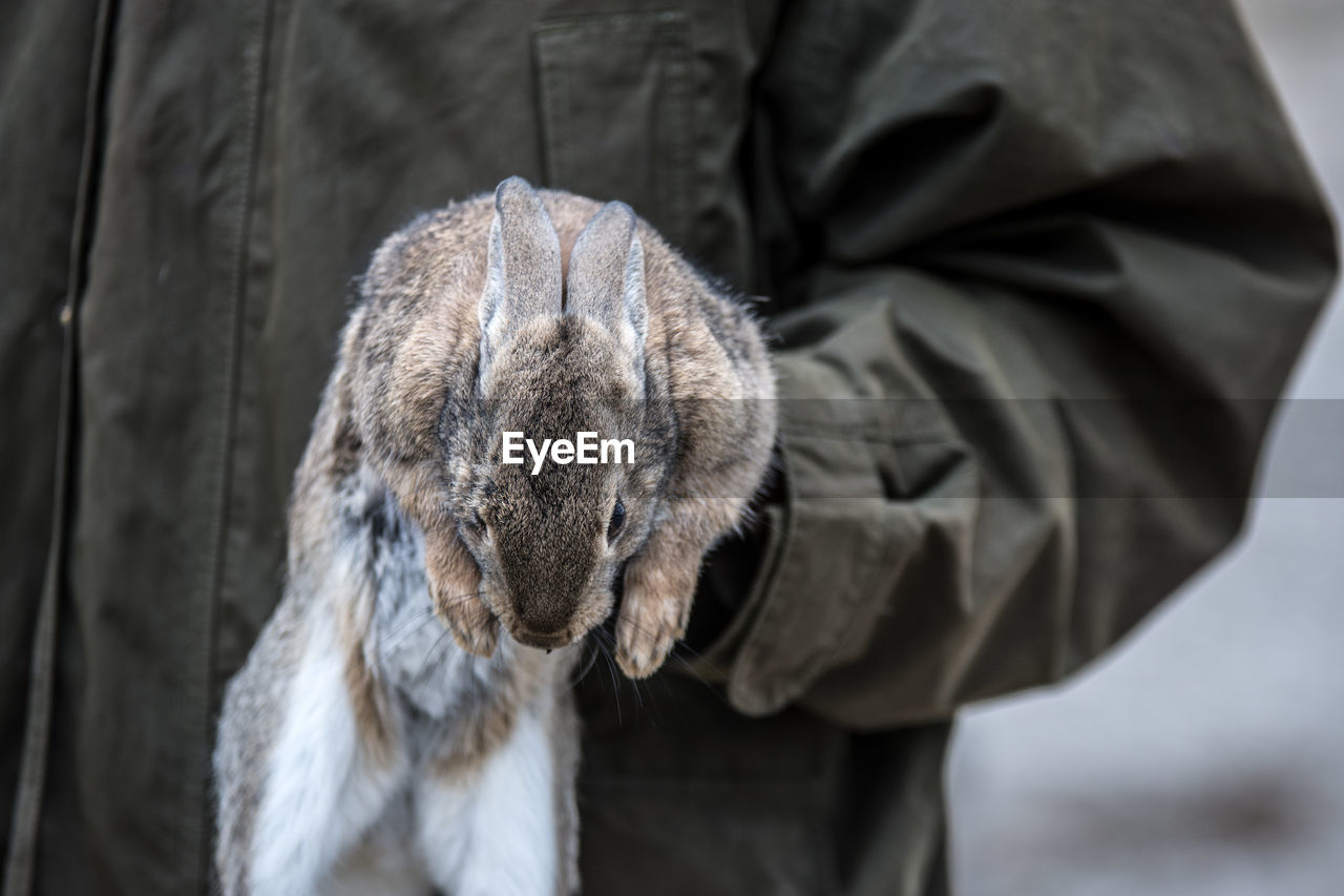 REAR VIEW OF DOG