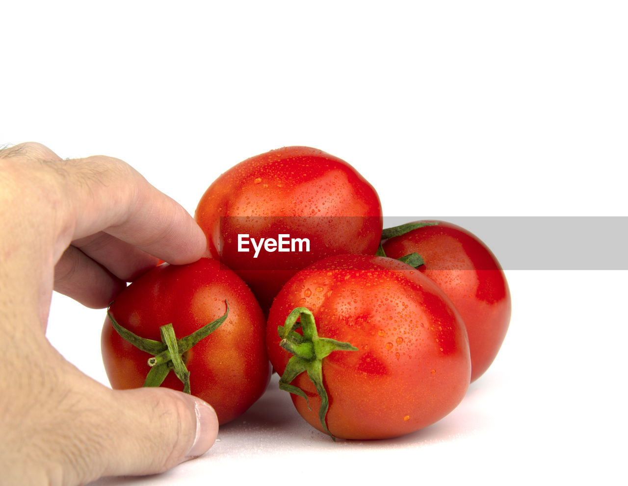 CLOSE-UP OF HAND HOLDING TOMATOES