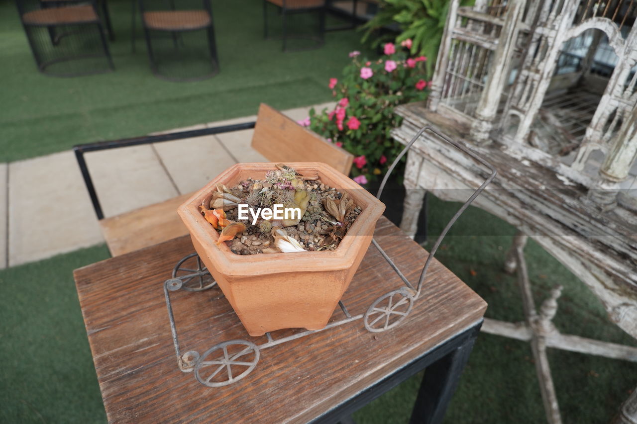 HIGH ANGLE VIEW OF POTTED PLANTS ON TABLE