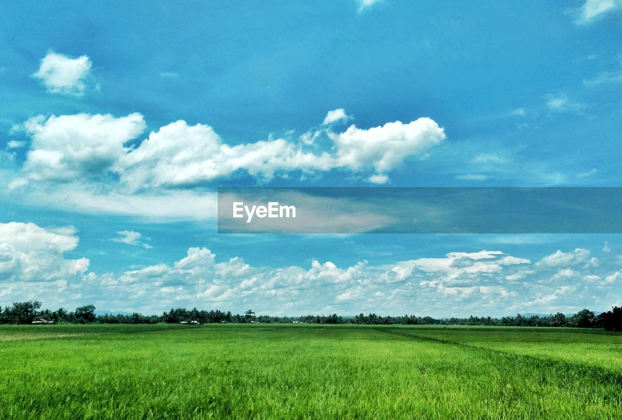 Scenic view of field against cloudy sky