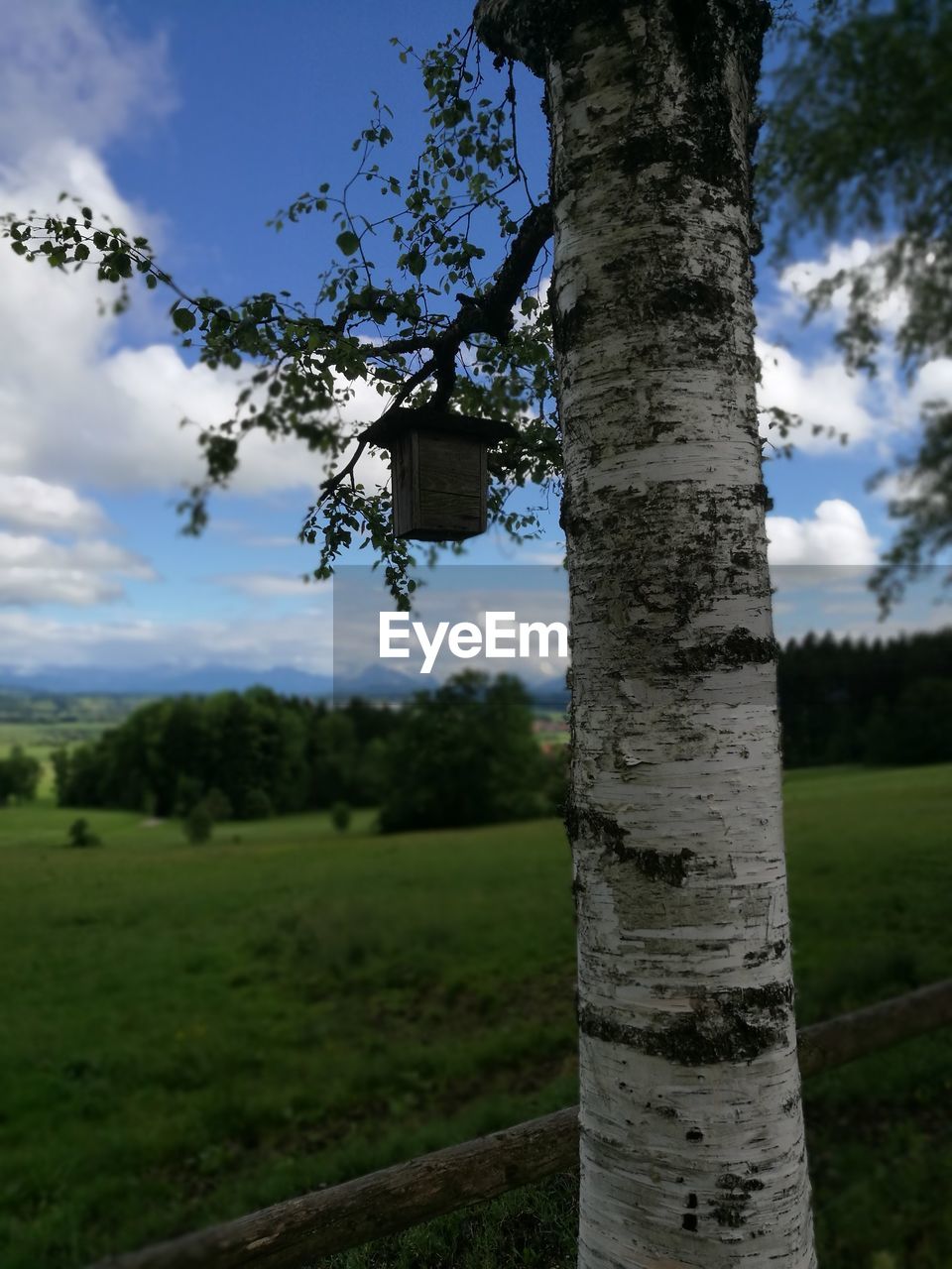 Trees on landscape against sky