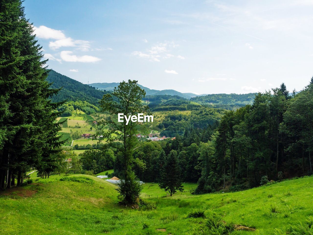 Scenic view of green landscape and mountains against sky