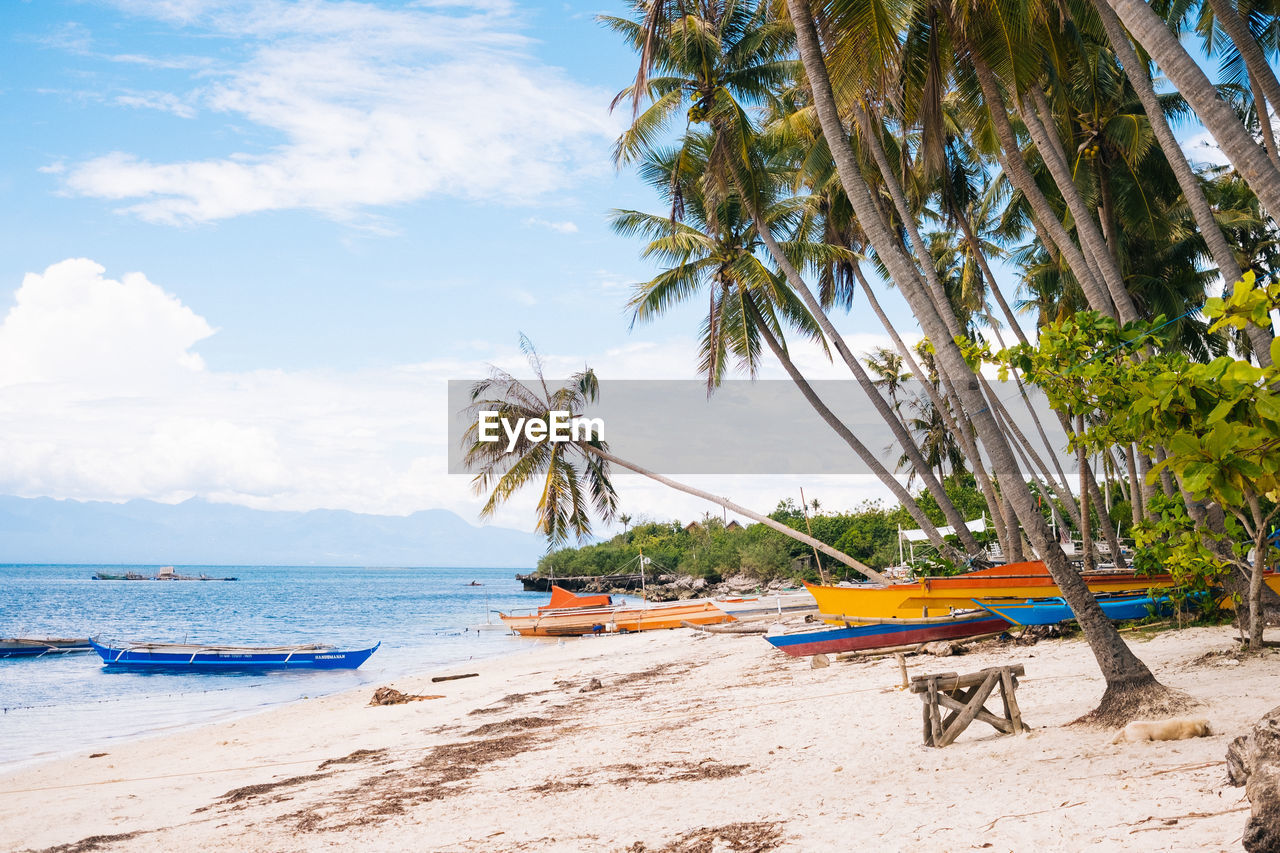 SCENIC VIEW OF BEACH