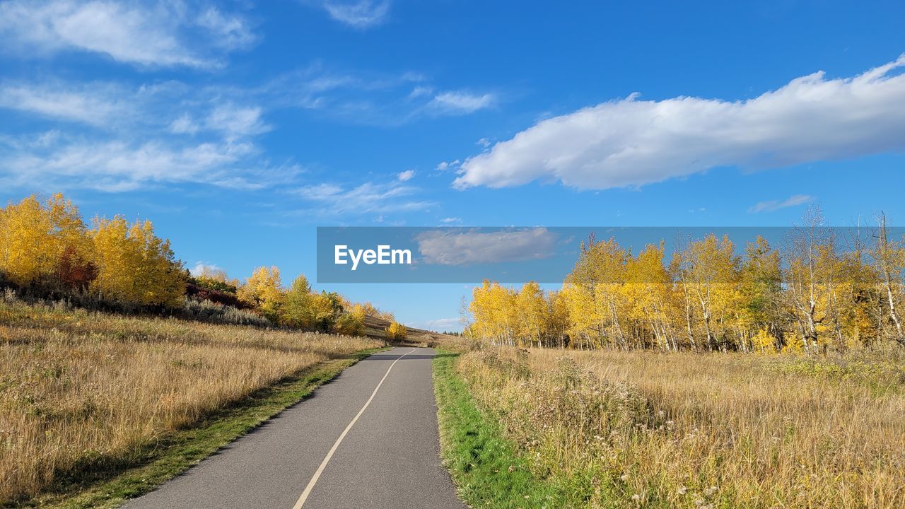 ROAD BY TREES AGAINST SKY