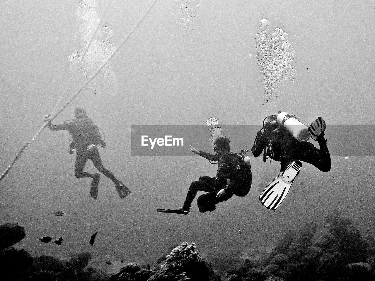 Men swimming in sea