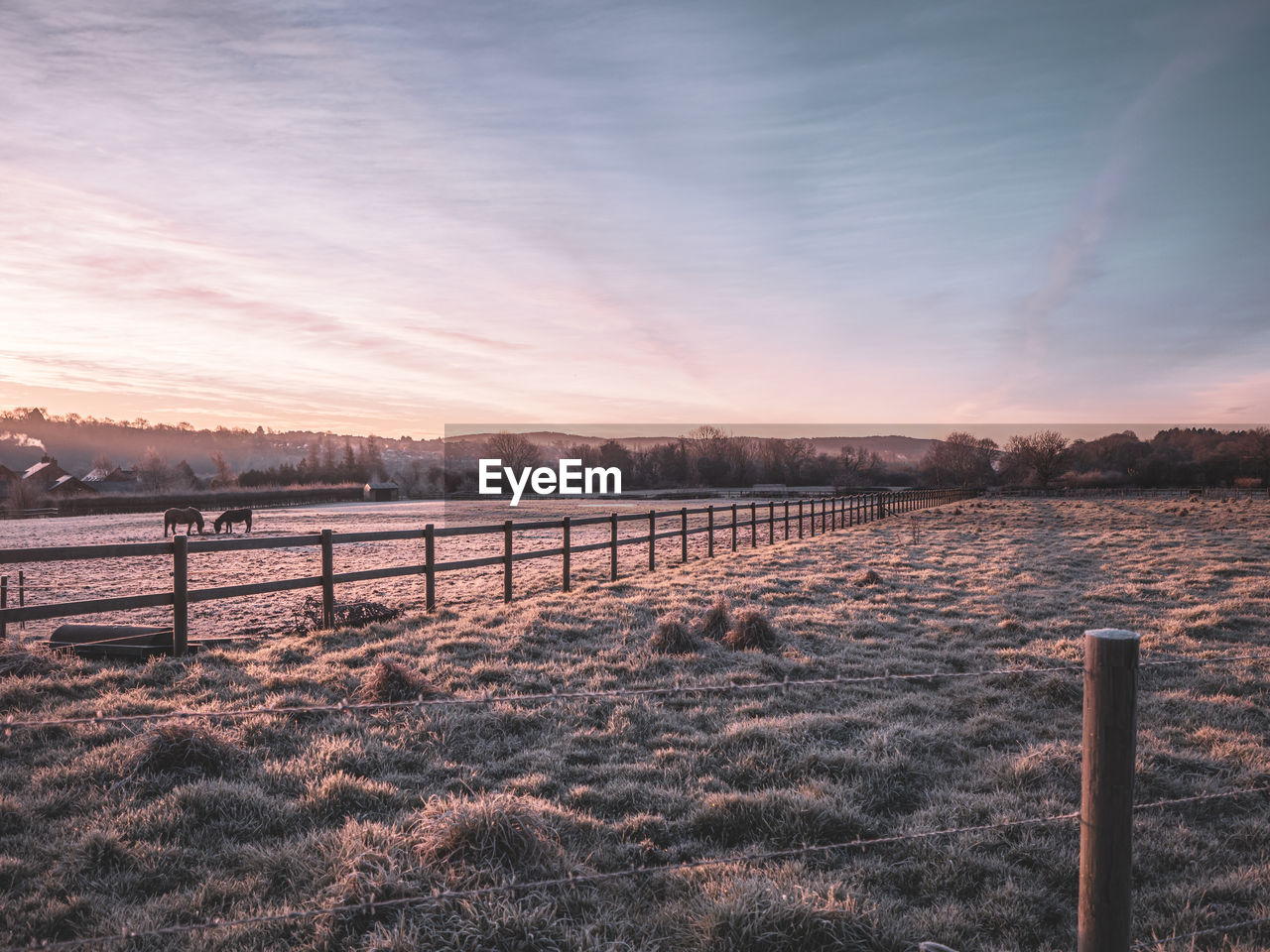 Scenic view of field against sky during sunset