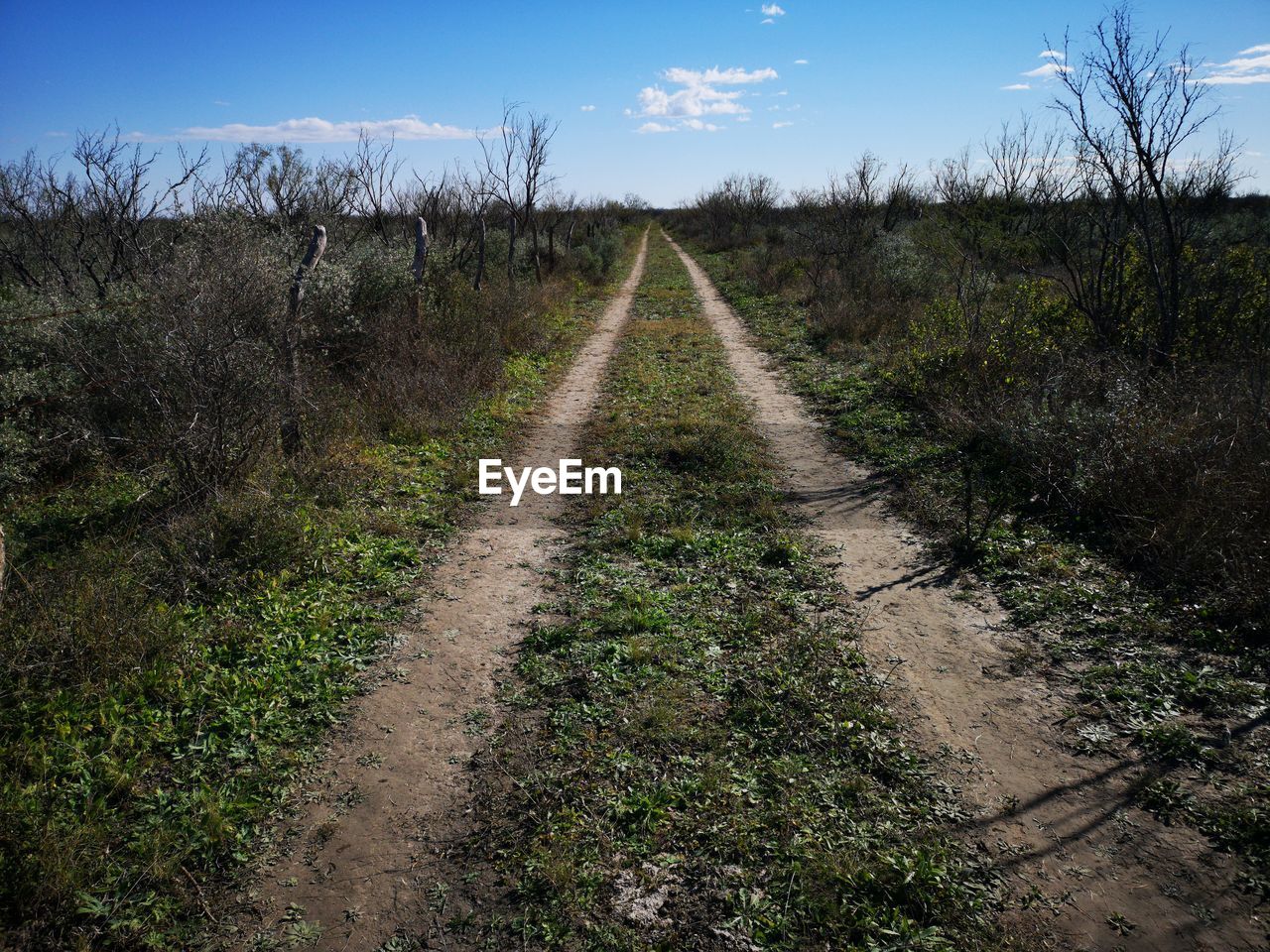 Dirt road on field against sky