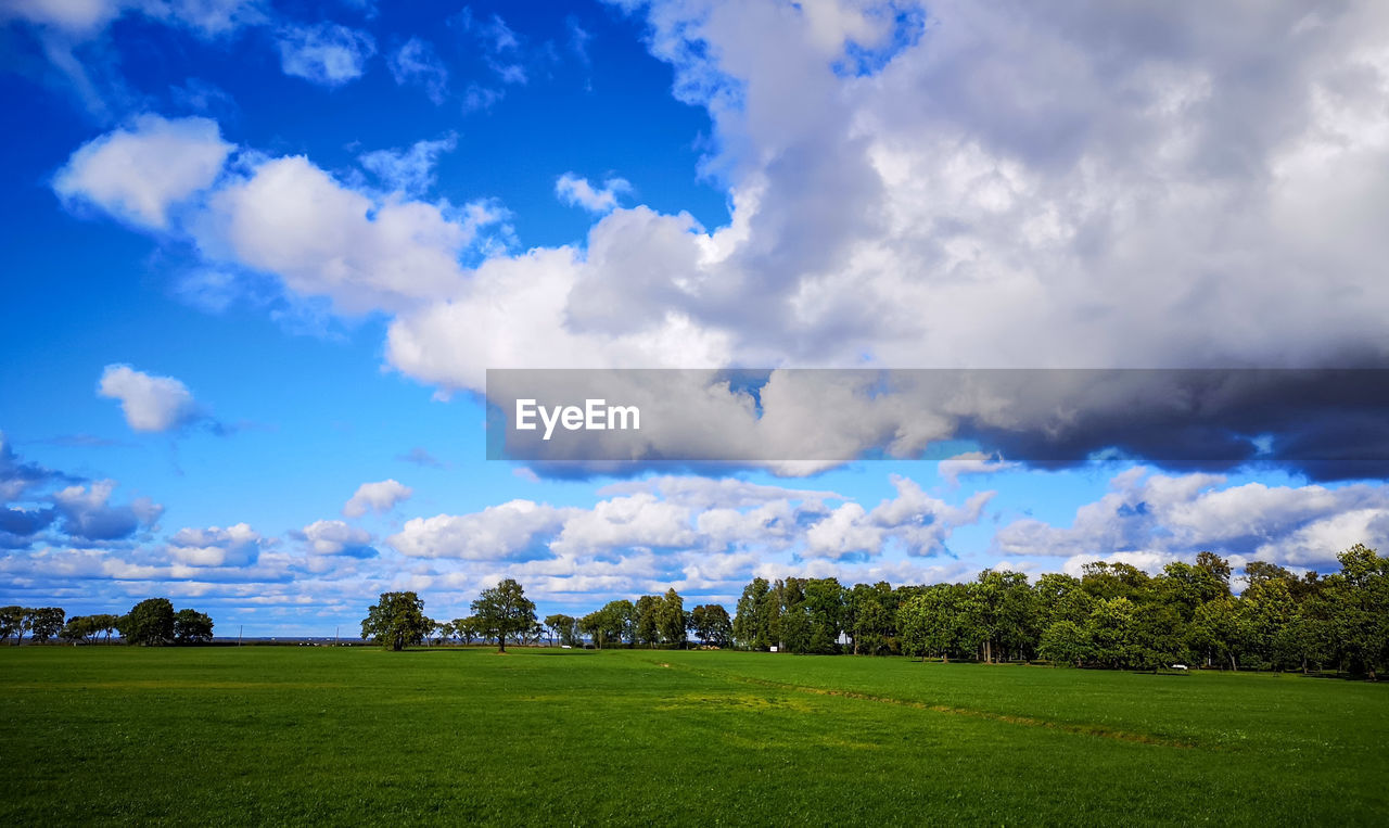 Scenic view of field against sky