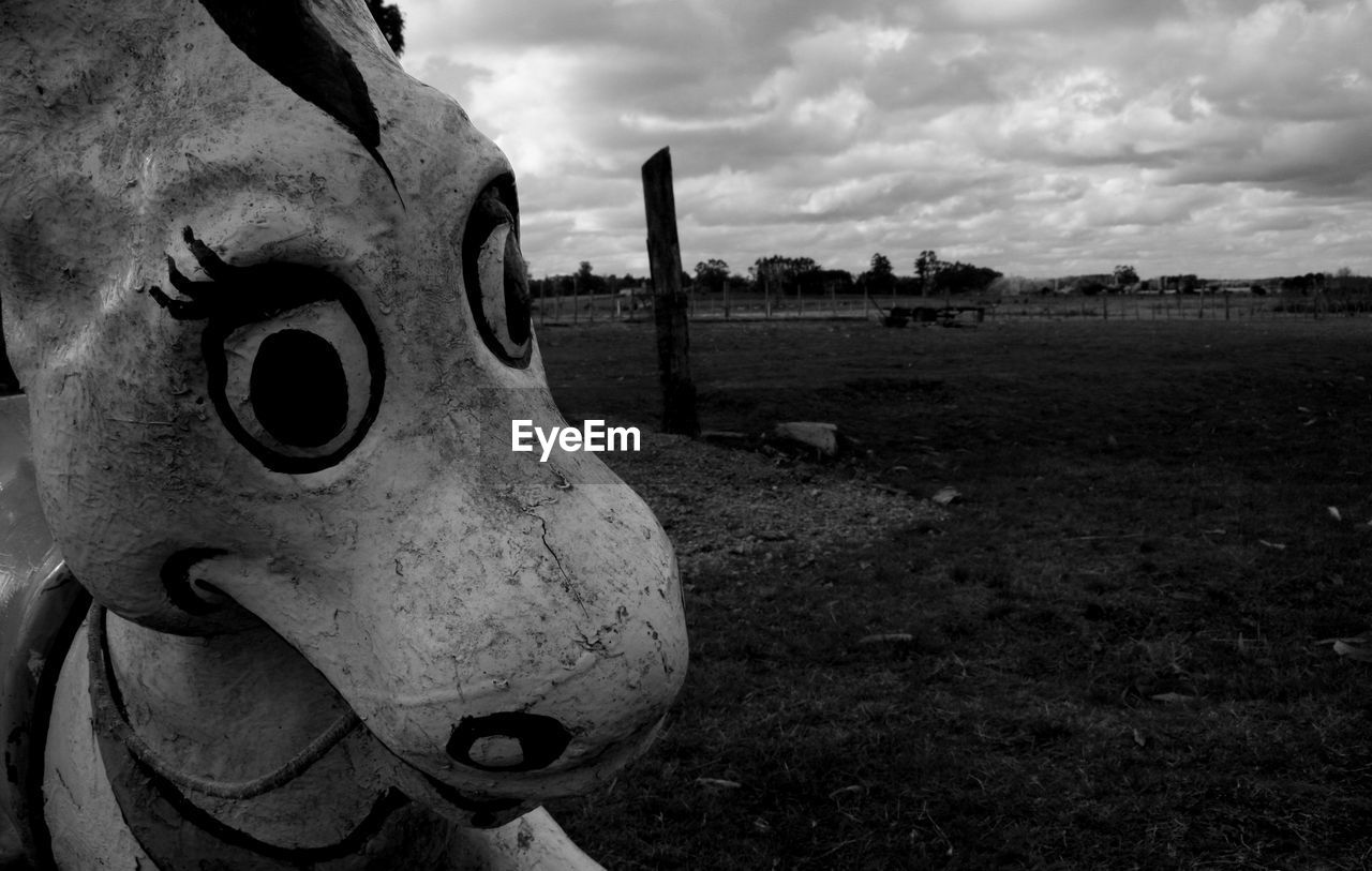 CLOSE UP OF HORSE