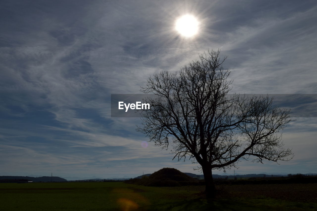 Bare tree on field against sky during sunset