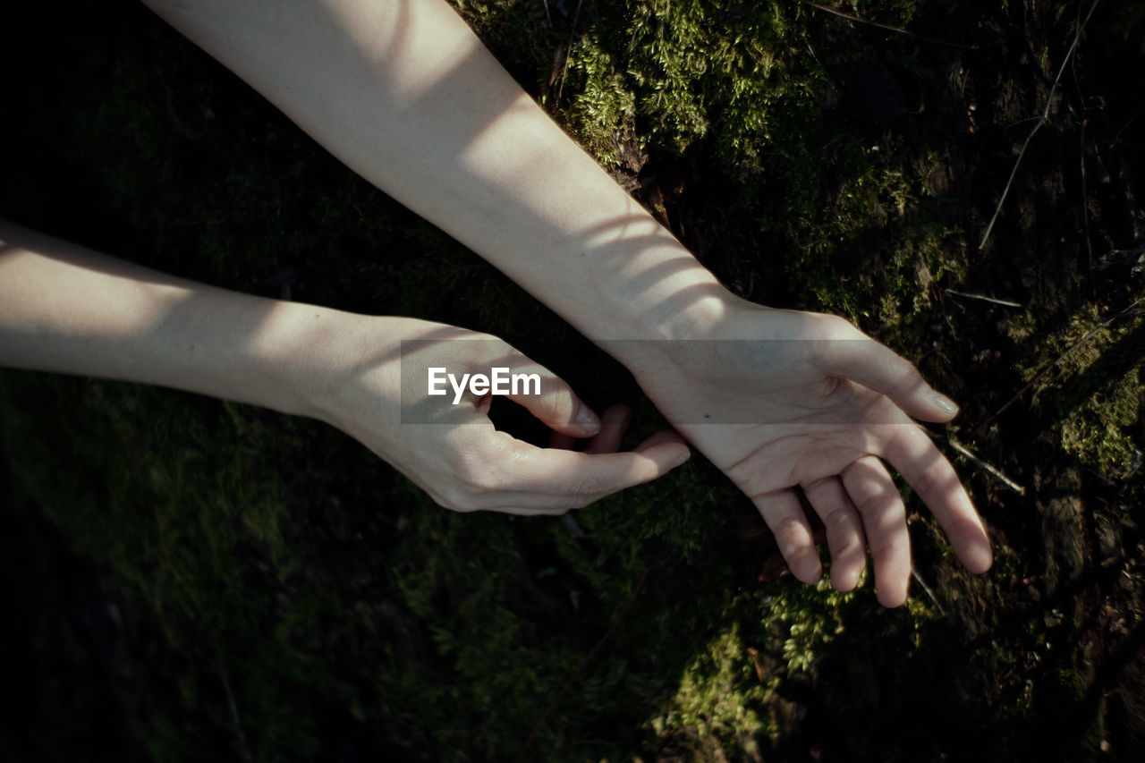 Close-up of hand on tree trunk