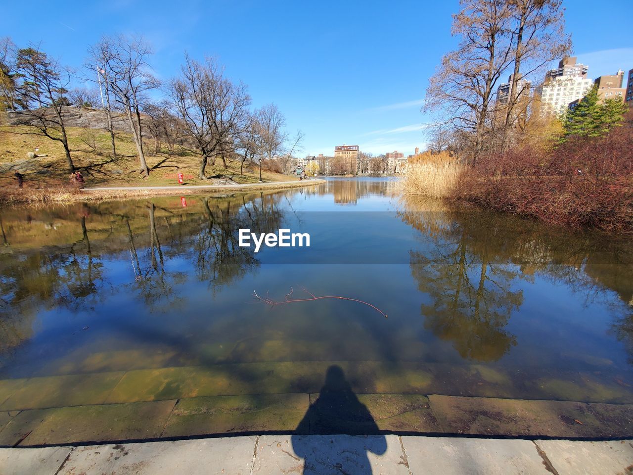 SCENIC VIEW OF LAKE BY TREES AGAINST SKY