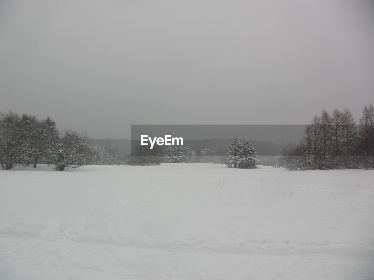 VIEW OF SNOW COVERED LANDSCAPE