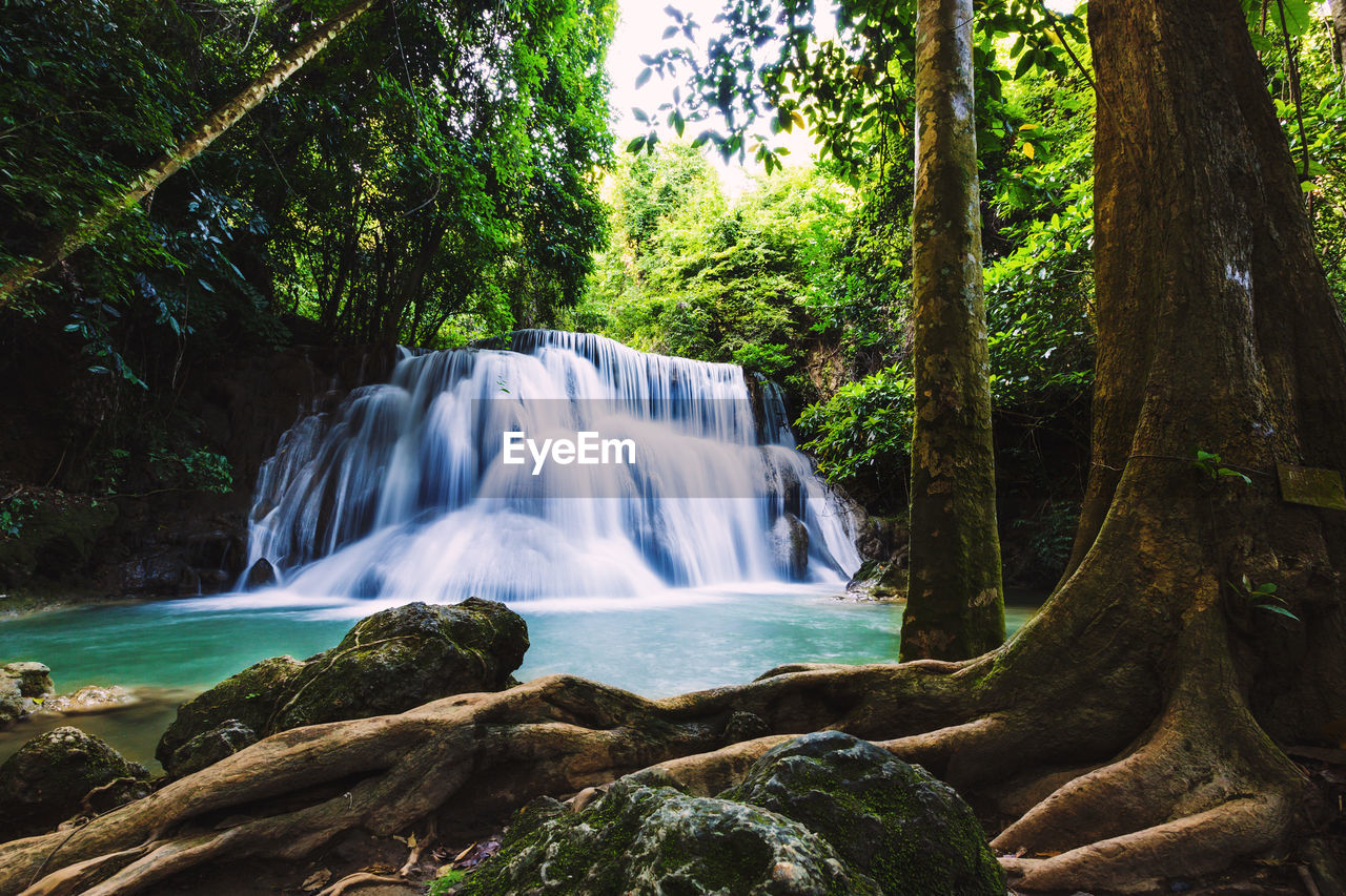 Scenic view of waterfall in forest