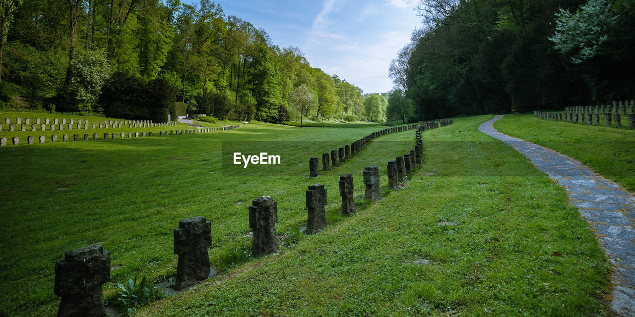 SCENIC VIEW OF CEMETERY