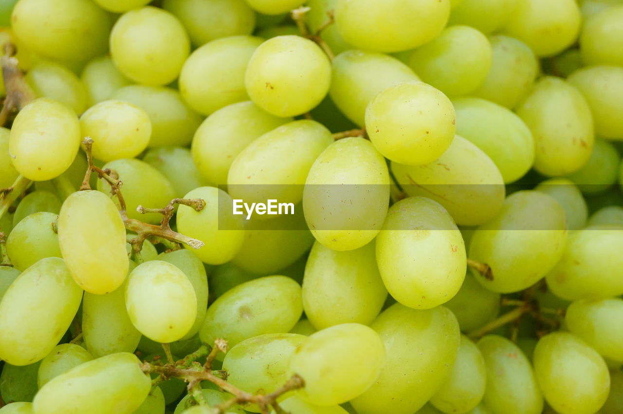 FULL FRAME SHOT OF GRAPES IN MARKET