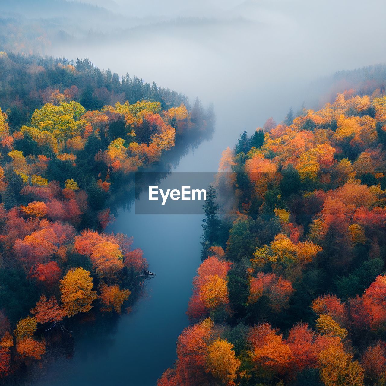 tree, autumn, plant, beauty in nature, nature, fog, scenics - nature, forest, environment, tranquility, morning, land, leaf, water, reflection, landscape, tranquil scene, no people, orange color, woodland, sky, mountain, pine tree, coniferous tree, pine woodland, lake, pinaceae, non-urban scene, outdoors, day, cloud, high angle view, multi colored, idyllic, wilderness, plant part, growth, autumn collection, dawn