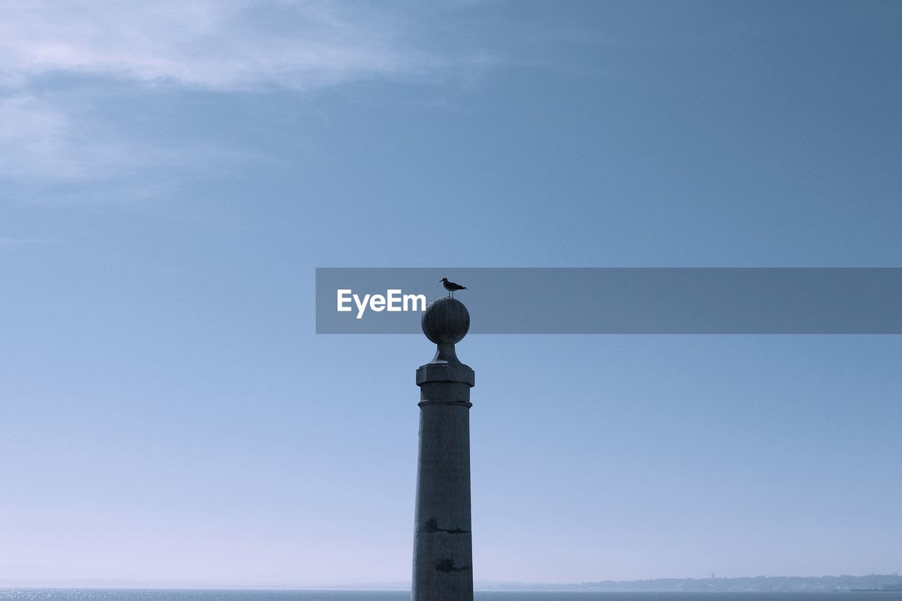 Low angle view of bird on pole against blue sky