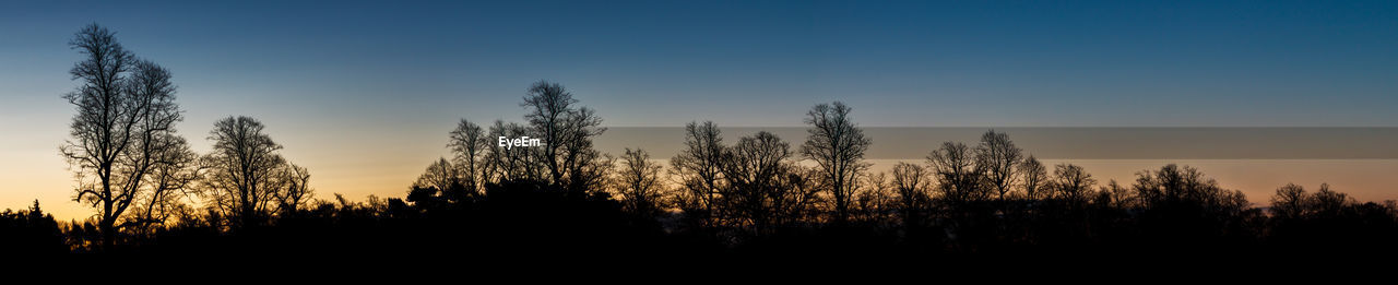 SILHOUETTE TREES IN FOREST AGAINST SKY AT SUNSET