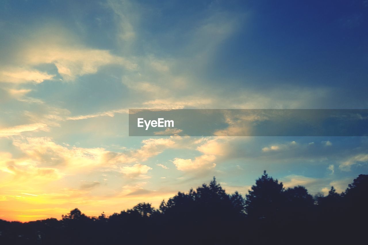 LOW ANGLE VIEW OF SILHOUETTE TREES AGAINST SUNSET SKY