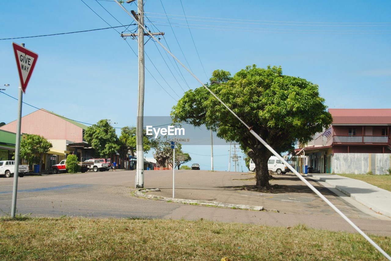 Tree by telephone pole on street against sky