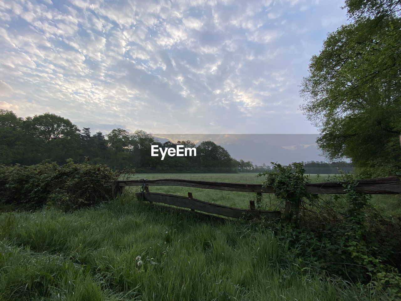 SCENIC VIEW OF FARM AGAINST SKY